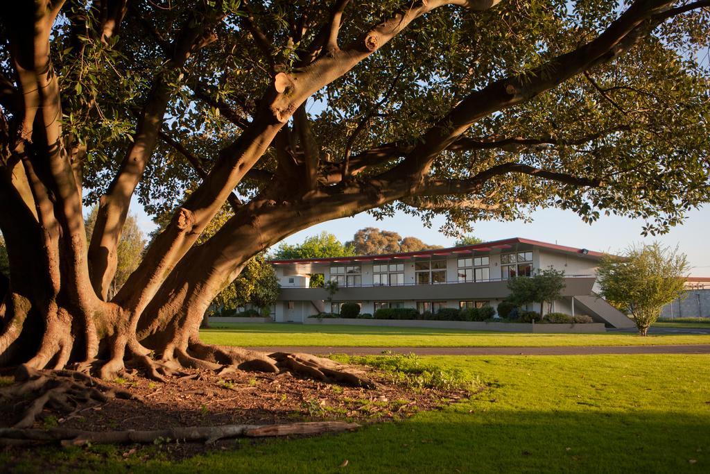 Kennedy Park Resort Napier Kültér fotó